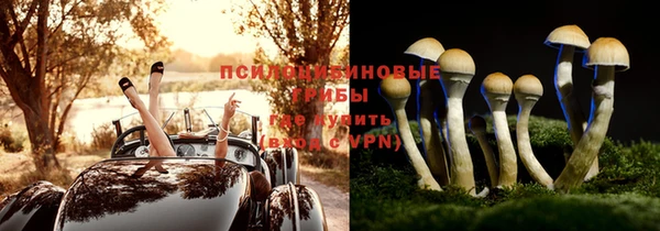 бошки Белоозёрский