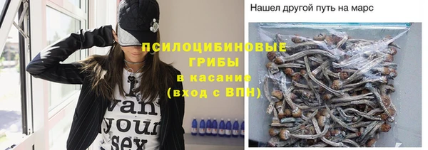 альфа пвп Белокуриха