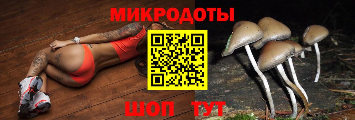 Псилоцибиновые грибы ЛСД  Галлюциногенные грибы Psilocybe  Малоярославец  Вход с VPN 